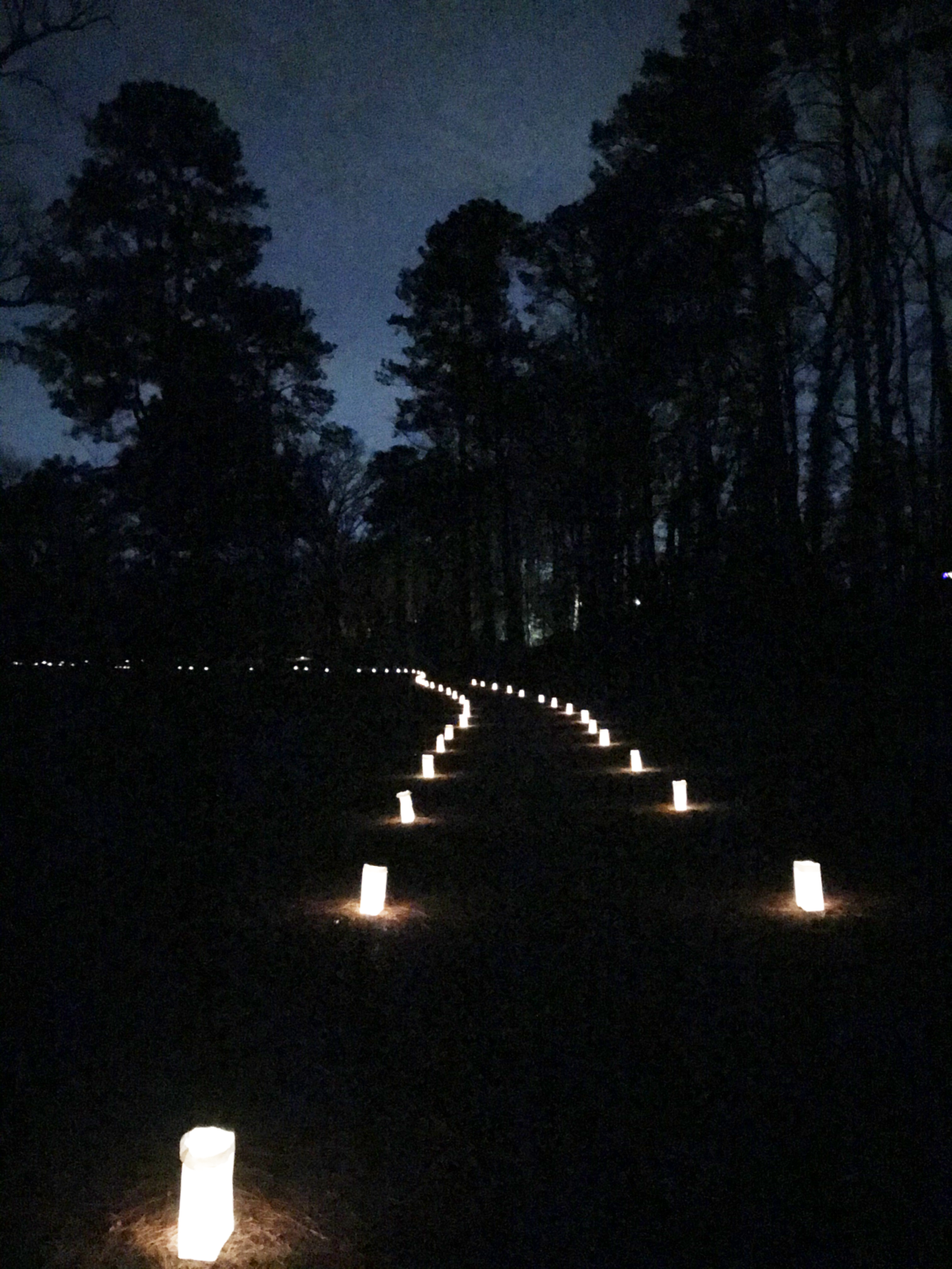 Northgate Park